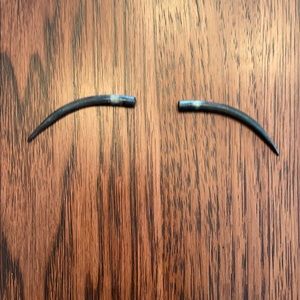 Carved horn earrings